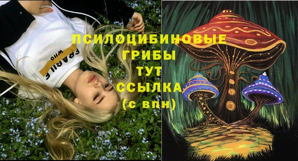 МДПВ Алзамай