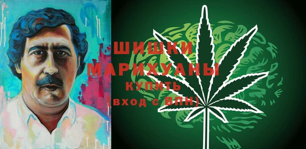 мдпв Няндома